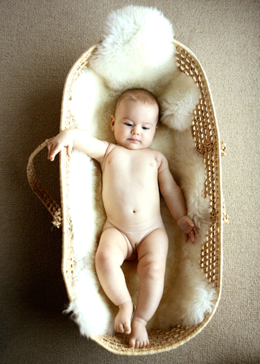 Delphi-6mos0440_2