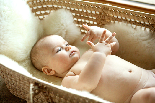 Delphi-6mos0467