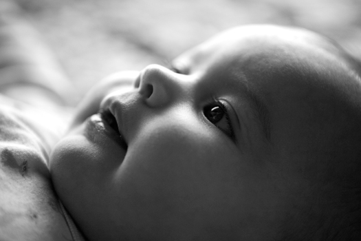 Delphi-6mos9835_2