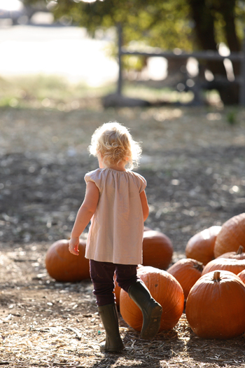 Ct-reese-pumpkinpatch0026