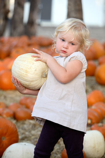 Ct-reese-pumpkinpatch0174